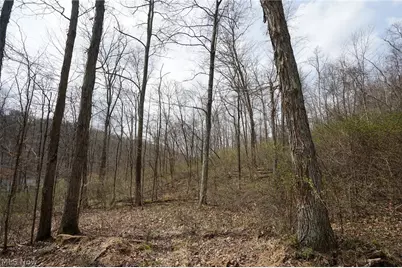 McKee Hill Rd, Frazeysburg, OH 43822 - Photo 48