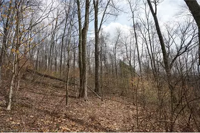 McKee Hill Rd, Frazeysburg, OH 43822 - Photo 46