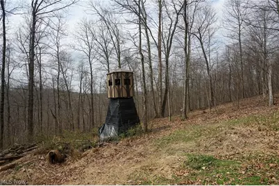 McKee Hill Rd, Frazeysburg, OH 43822 - Photo 20