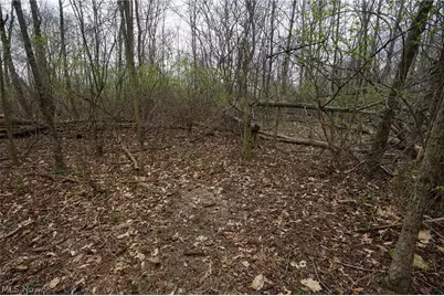 McKee Hill Rd, Frazeysburg, OH 43822 - Photo 34