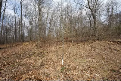 McKee Hill Rd, Frazeysburg, OH 43822 - Photo 22