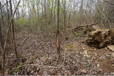 McKee Hill Rd, Frazeysburg, OH 43822 - Photo 26
