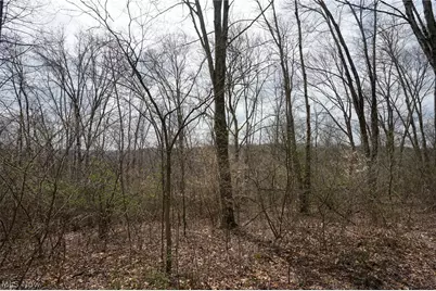 McKee Hill Rd, Frazeysburg, OH 43822 - Photo 22