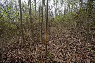 McKee Hill Rd, Frazeysburg, OH 43822 - Photo 28