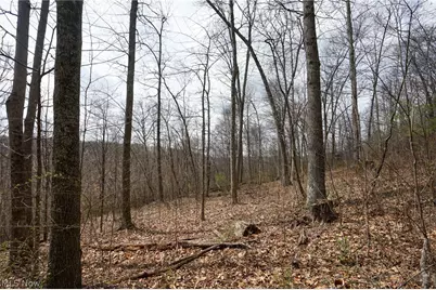 McKee Hill Rd, Frazeysburg, OH 43822 - Photo 46