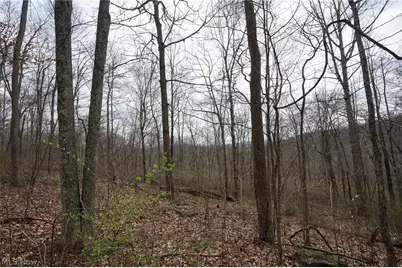McKee Hill Rd, Frazeysburg, OH 43822 - Photo 16