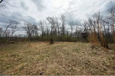McKee Hill Rd, Frazeysburg, OH 43822 - Photo 32