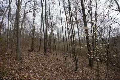 McKee Hill Rd, Frazeysburg, OH 43822 - Photo 14