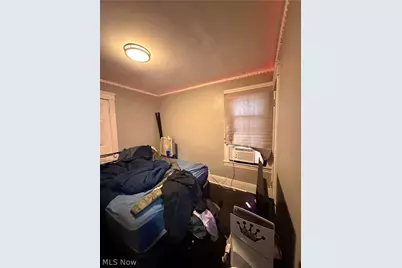 724 E 133rd Street, Loveland, OH 44110 - Photo 10