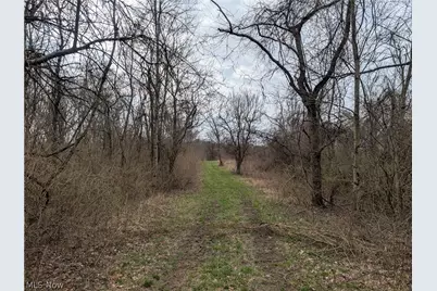 39000 Lees Run Road, Cadiz, OH 43907 - Photo 18