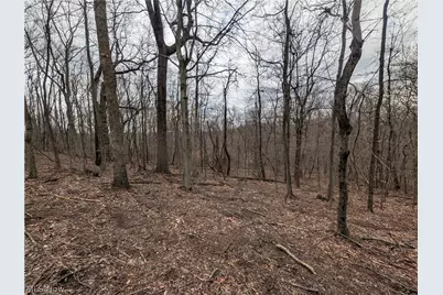 39000 Lees Run Road, Cadiz, OH 43907 - Photo 26
