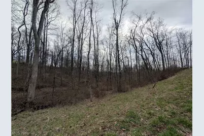 39000 Lees Run Road, Cadiz, OH 43907 - Photo 42