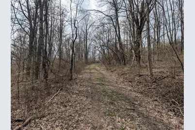39000 Lees Run Road, Cadiz, OH 43907 - Photo 30