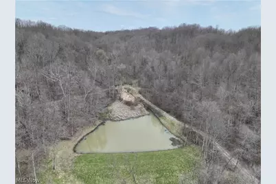 39000 Lees Run Road, Cadiz, OH 43907 - Photo 10