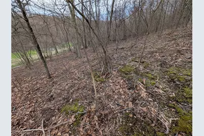 39000 Lees Run Road, Cadiz, OH 43907 - Photo 14