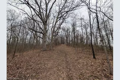 39000 Lees Run Road, Cadiz, OH 43907 - Photo 24