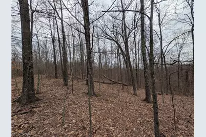39000 Lees Run Road, Cadiz, OH 43907 - Photo 20