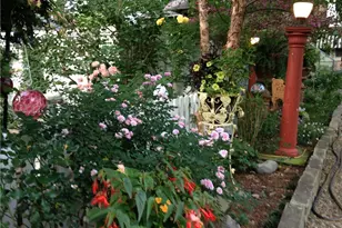 900 Quinby Ave, Wooster, OH 44691 - Photo 46