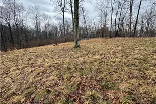 6200 Federal Rd, Cutler, OH 45724 - Photo 4