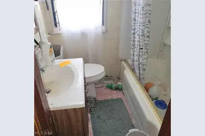 3709 E 106th Street, Loveland, OH 44105 - Photo 12