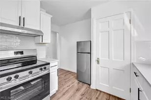 10318 Thrush Ave, Loveland, OH 44111 - Photo 14