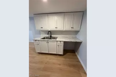 946 E 79th Street, Loveland, OH 44103 - Photo 18