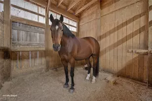 8511 Kennard Rd, Lodi, OH 44254 - Photo 42