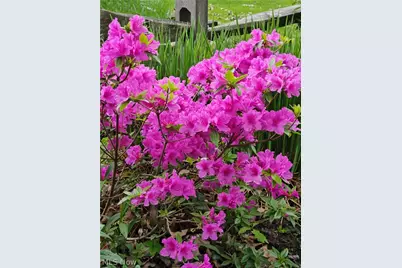 4633 Farley Drive, Mentor, OH 44060 - Photo 34