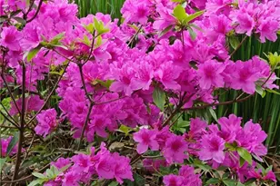 4633 Farley Dr, Mentor, OH 44060 - Photo 34