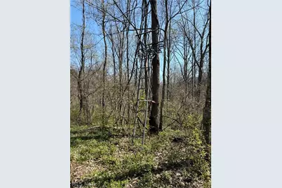 8902 N State Route 78, Caldwell, OH 43724 - Photo 34