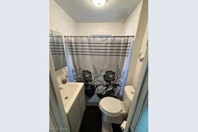 11817 Dove Avenue, Loveland, OH 44105 - Photo 10