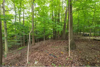 12101 The Bluffs, Strongsville, OH 44136 - Photo 34