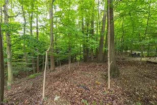 12101 The Bluffs, Strongsville, OH 44136 - Photo 34
