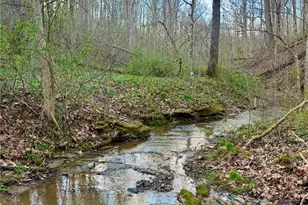 29981 Bashan Rd, Racine, OH 45771 - Photo 42