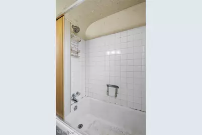 3321 Archmere Avenue, Loveland, OH 44109 - Photo 18