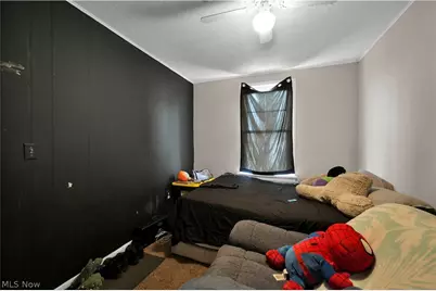 1476 W 107th Street, Loveland, OH 44102 - Photo 16