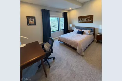 3110 Vine Court, Loveland, OH 44113 - Photo 22