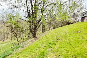 441 Tower Rd, Elizabeth, WV 26143 - Photo 8