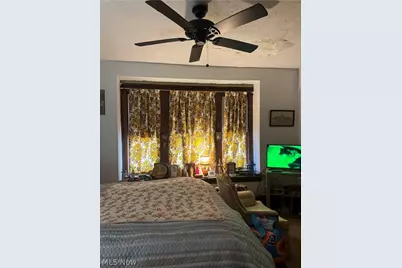 7405 Indiana Avenue, Loveland, OH 44105 - Photo 6