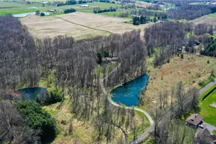 3190 Bunker Hill Rd, Leetonia, OH 44431 - Photo 6