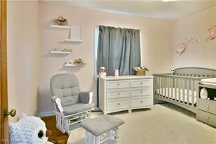 14395 Youngstown - Pittsburgh Rd, Petersburg, OH 44454 - Photo 26