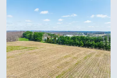 9050 Freeman Road, Lisbon, OH 44432 - Photo 50