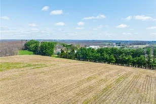 9050 Freeman Rd, Lisbon, OH 44432 - Photo 50