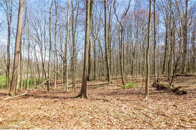 9050 Freeman Road, Lisbon, OH 44432 - Photo 44
