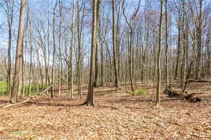 9050 Freeman Rd, Lisbon, OH 44432 - Photo 44