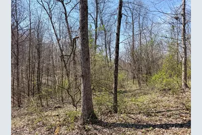 Claysville Rd, Cumberland, OH 43732 - Photo 46