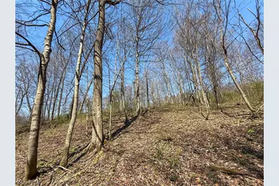 Claysville Rd, Cumberland, OH 43732 - Photo 42