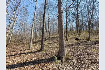 Claysville Rd, Cumberland, OH 43732 - Photo 18