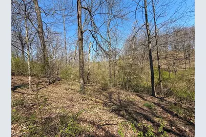 Claysville Rd, Cumberland, OH 43732 - Photo 4