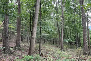 1368 Andora Rd NE, Carrollton, OH 44615 - Photo 40